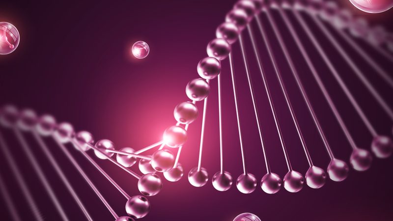 细胞工厂定制流程：揭秘生物医药生产的精密之旅