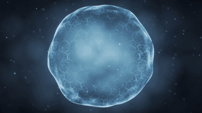 进口移液器如何选择：揭秘型号背后的关键因素**