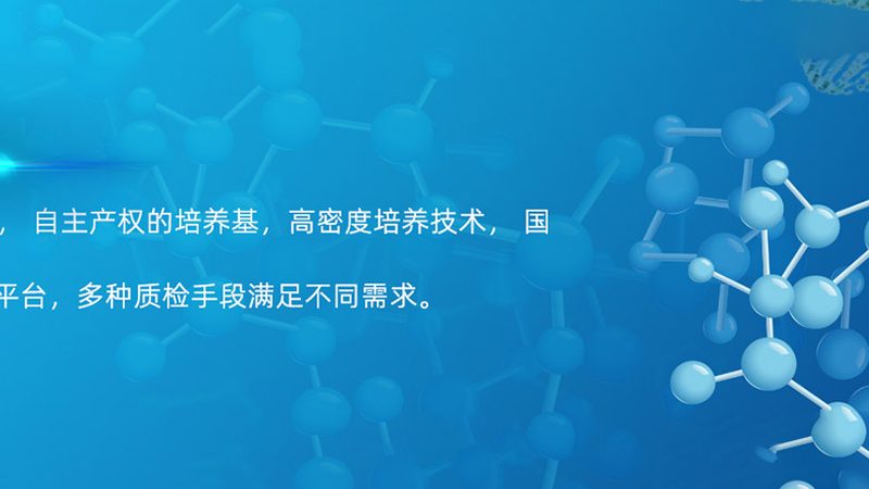 PCR实验室设备配置清单：构建精准检测的基石