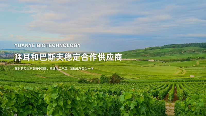 PCR实验的移液器选择，单道还是多道更靠谱