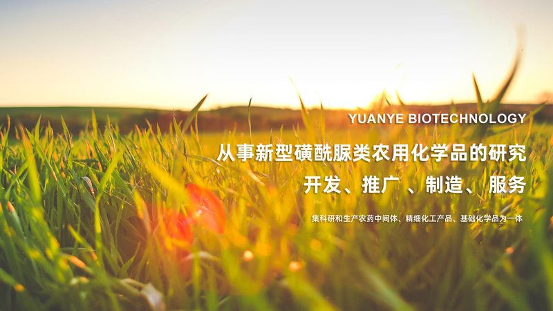 杭州生物科技有限公司