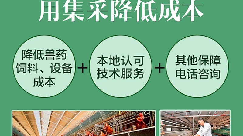 儿童天赋基因检测：揭秘背后的科学奥秘**