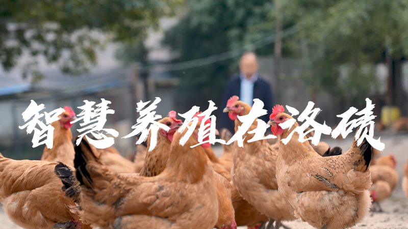 细胞培养设备招标，如何避免陷入误区？**
