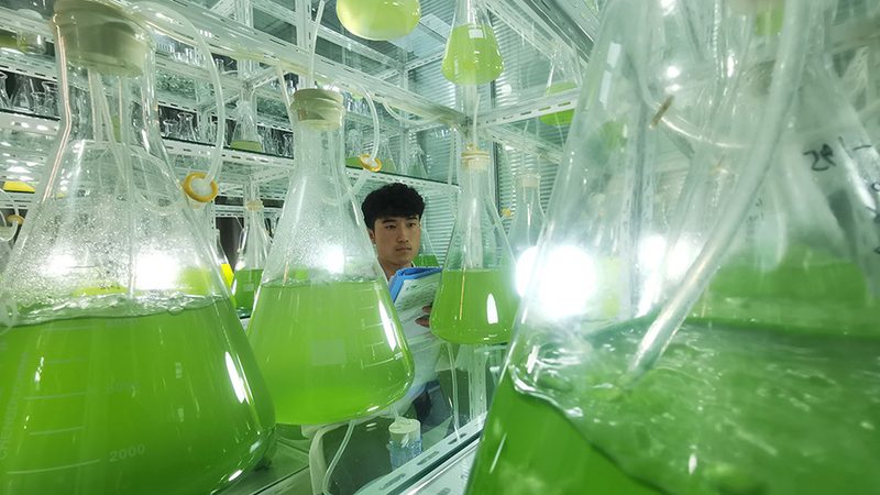 医院诊断试剂供应商怎么选